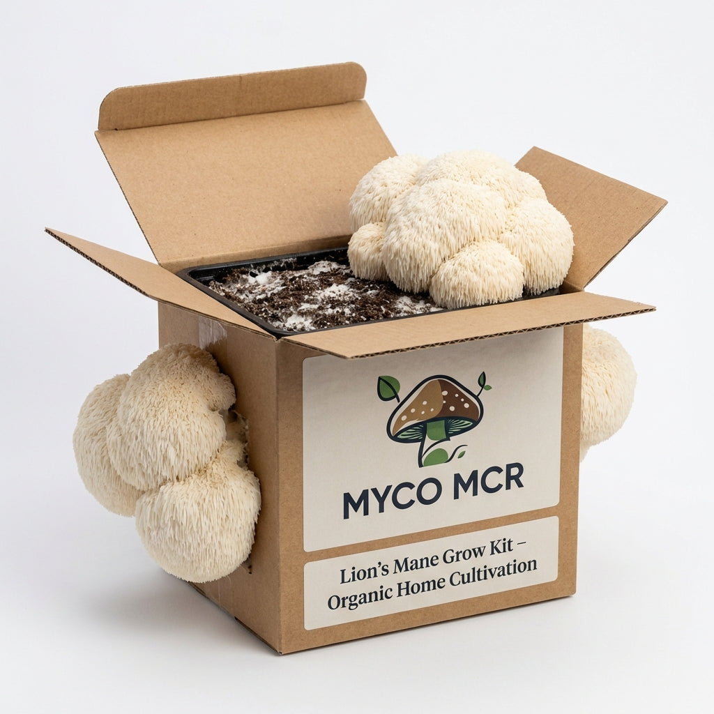 Lion’s Mane Grow Kit – Organic Home Cultivation